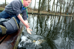 2011 Uitzetting Kleine Plas 099