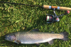 Forel2016004