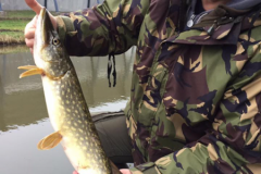 Snoekdag2016005